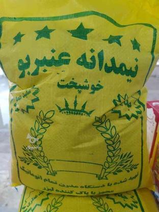 برنج نیمدانه عنبربو در گروه خرید و فروش خدمات و کسب و کار در خوزستان در شیپور-عکس1
