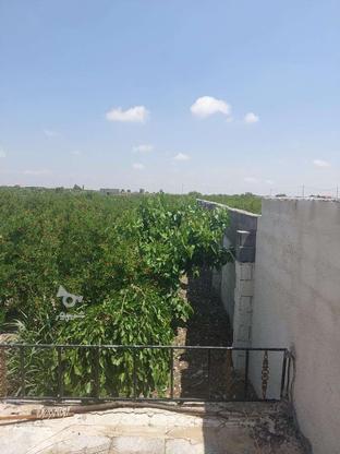 باغ 2000 متری چهار دیواری با امکانات در گروه خرید و فروش املاک در مرکزی در شیپور-عکس1