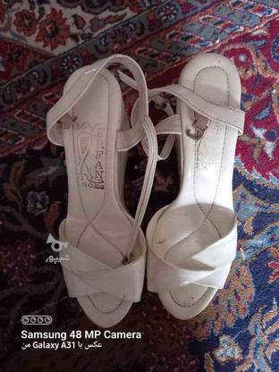 کفش تابستونی در گروه خرید و فروش لوازم شخصی در مازندران در شیپور-عکس1