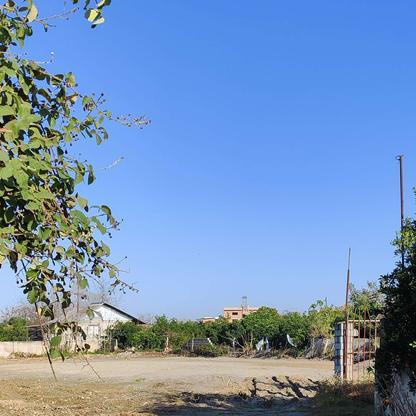 فروش زمین مسکونی 250 متر در گنج افروز در گروه خرید و فروش املاک در مازندران در شیپور-عکس1