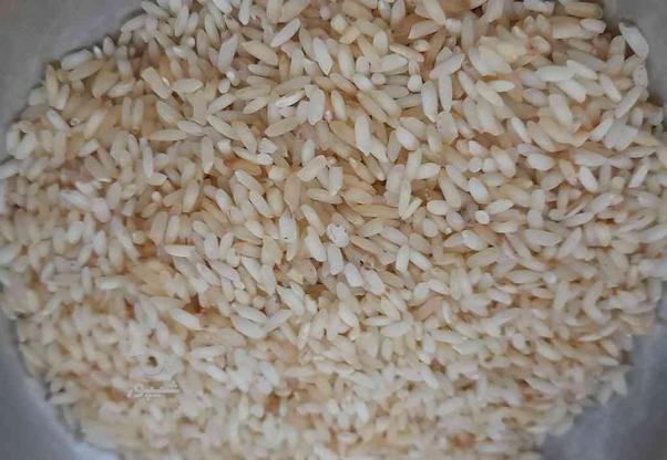 برنج دانه زرد عنبر بو در گروه خرید و فروش خدمات و کسب و کار در قزوین در شیپور-عکس1