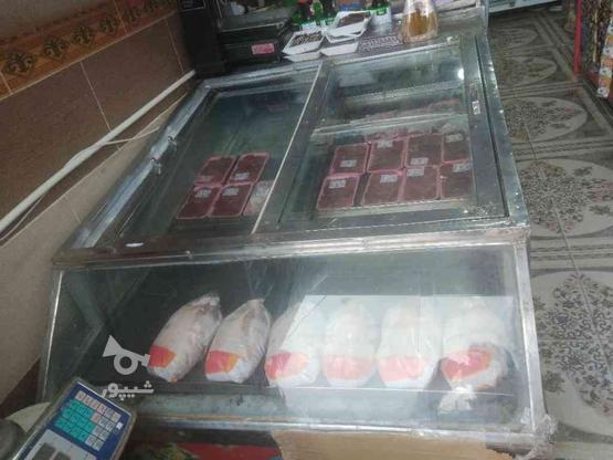 یخچال خوابیده مرغ در گروه خرید و فروش صنعتی، اداری و تجاری در زنجان در شیپور-عکس1