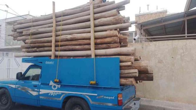 خرید و فروش انواع چوب و تیر در گروه خرید و فروش خدمات و کسب و کار در زنجان در شیپور-عکس1
