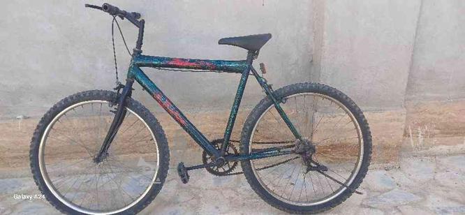 دوچرخه سالم در گروه خرید و فروش ورزش فرهنگ فراغت در اصفهان در شیپور-عکس1
