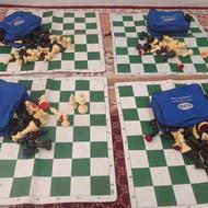 شطرنج بازی با مهره کامل