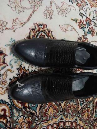 کفش چرم متین سایز 40 در گروه خرید و فروش لوازم شخصی در تهران در شیپور-عکس1