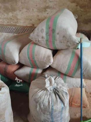 خاک اره چوب در گروه خرید و فروش خدمات و کسب و کار در مازندران در شیپور-عکس1