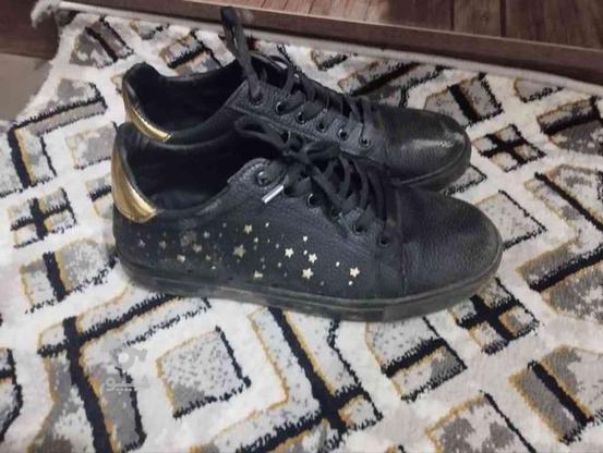 کفش سالمه سایز 40 در گروه خرید و فروش لوازم شخصی در البرز در شیپور-عکس1