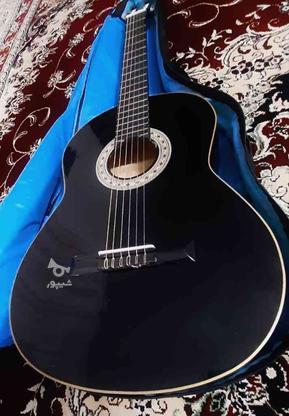 گیتار دیاموند همراه با کاور در گروه خرید و فروش ورزش فرهنگ فراغت در خراسان رضوی در شیپور-عکس1