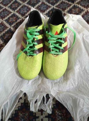 کفش فوتبال چمنی در گروه خرید و فروش لوازم شخصی در کردستان در شیپور-عکس1