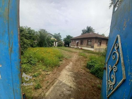 زمین مسکونی باغی ویلا دارای تمام امتیازات در گروه خرید و فروش املاک در گیلان در شیپور-عکس1