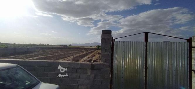 زمین دور دیوار در گروه خرید و فروش املاک در خراسان رضوی در شیپور-عکس1