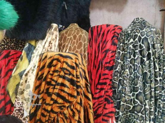 پخش خز لباسی تدی روتختی در گروه خرید و فروش لوازم شخصی در تهران در شیپور-عکس1
