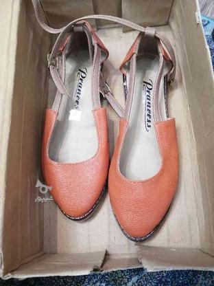 کفش زنانه نو در گروه خرید و فروش لوازم شخصی در اصفهان در شیپور-عکس1