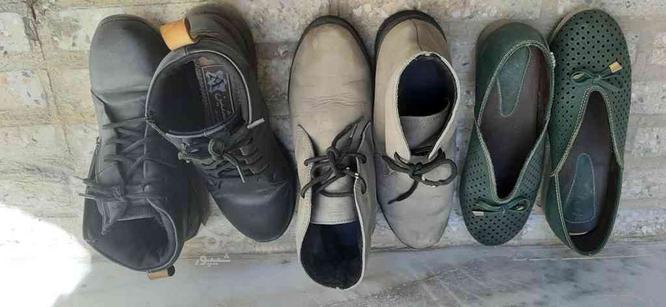 کفش سایز 37 در گروه خرید و فروش لوازم شخصی در اصفهان در شیپور-عکس1