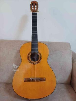 گیتار در حد نو در گروه خرید و فروش ورزش فرهنگ فراغت در البرز در شیپور-عکس1