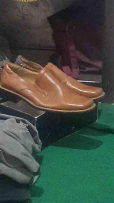 کفش سابز 43و42 در گروه خرید و فروش لوازم شخصی در البرز در شیپور-عکس1