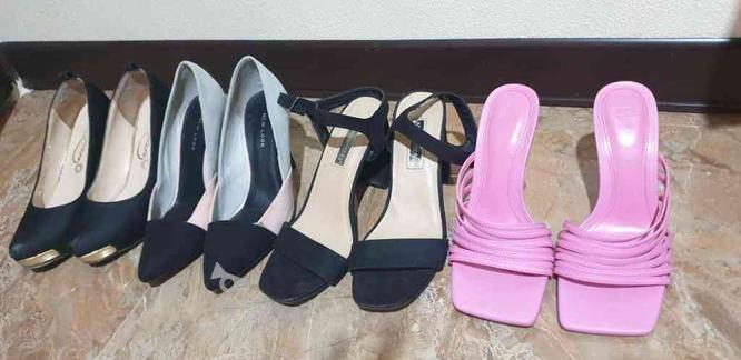 تعدادی کفش مجلسی شیک زنانه در گروه خرید و فروش لوازم شخصی در اصفهان در شیپور-عکس1