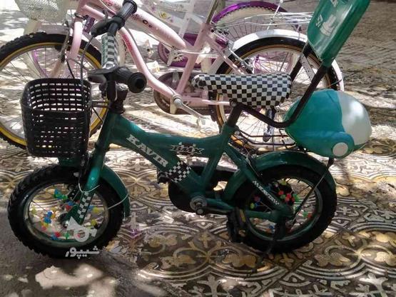سه دستگاه دوچرخه دخترانه شماره20وپسرانه 12 در گروه خرید و فروش ورزش فرهنگ فراغت در آذربایجان شرقی در شیپور-عکس1