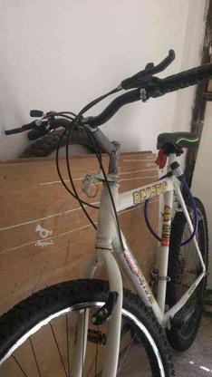 دوچرخه دنده ای در گروه خرید و فروش ورزش فرهنگ فراغت در خراسان رضوی در شیپور-عکس1