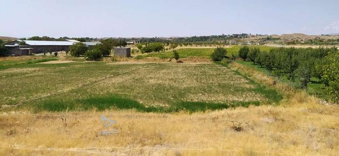 زمین کشاورزی در گروه خرید و فروش املاک در آذربایجان شرقی در شیپور-عکس1