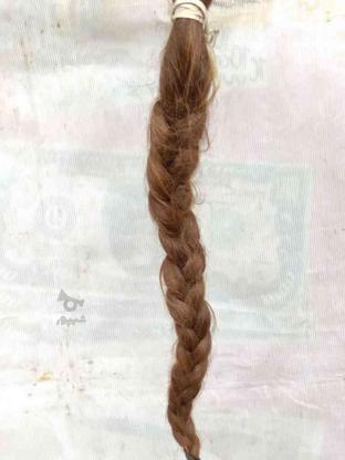مو کوتاه شده در گروه خرید و فروش لوازم شخصی در بوشهر در شیپور-عکس1