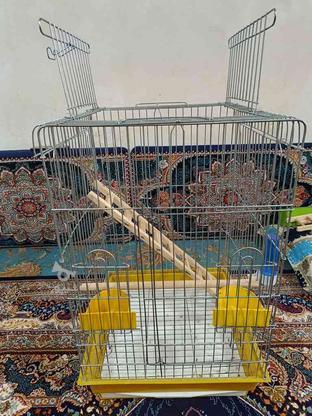 قفس معاوضه با کبوتر در گروه خرید و فروش ورزش فرهنگ فراغت در زنجان در شیپور-عکس1