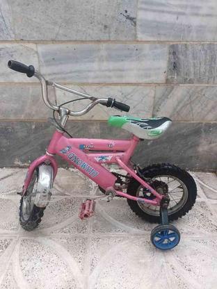 دوچرخه 12 سالم در گروه خرید و فروش ورزش فرهنگ فراغت در البرز در شیپور-عکس1