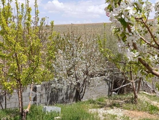 باغ سیب در منطقه وردشت مهرگرد در گروه خرید و فروش املاک در اصفهان در شیپور-عکس1