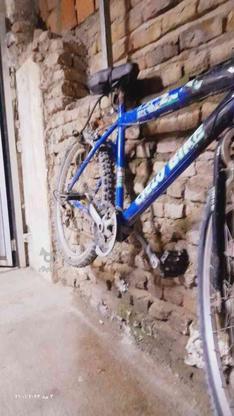 دوچرخه سالم ولی خوابیده در گروه خرید و فروش ورزش فرهنگ فراغت در گلستان در شیپور-عکس1