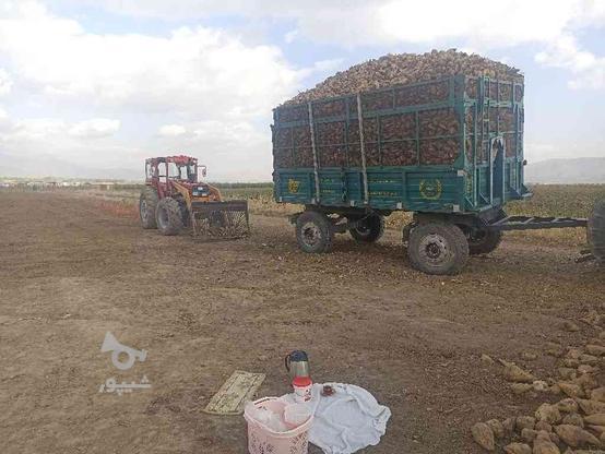 تریل چغندر طول 4.60 در گروه خرید و فروش وسایل نقلیه در آذربایجان غربی در شیپور-عکس1