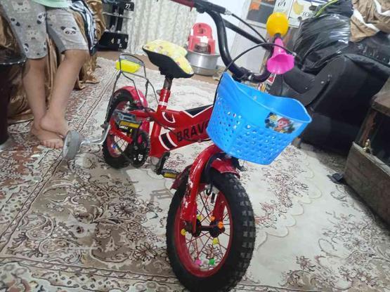 دوچرخه کودک در گروه خرید و فروش ورزش فرهنگ فراغت در زنجان در شیپور-عکس1