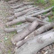 ضایعات چوب باغی 10 تا 15 تن موجوده برا فروش