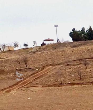 زمین تازه تفکیک شهر رضی در گروه خرید و فروش املاک در اردبیل در شیپور-عکس1