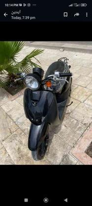 موتورسیکلت تودی 1403 صفر در گروه خرید و فروش وسایل نقلیه در هرمزگان در شیپور-عکس1