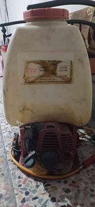 سمپاش موتوری بنزینی در گروه خرید و فروش وسایل نقلیه در گلستان در شیپور-عکس1