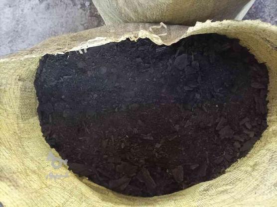 فروش خاکه زغال مرکبات و کبابی درجه یک در گروه خرید و فروش صنعتی، اداری و تجاری در گلستان در شیپور-عکس1