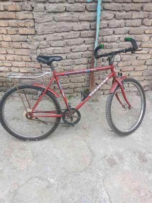 دوچرخه 26کوهستان در گروه خرید و فروش ورزش فرهنگ فراغت در مازندران در شیپور-عکس1