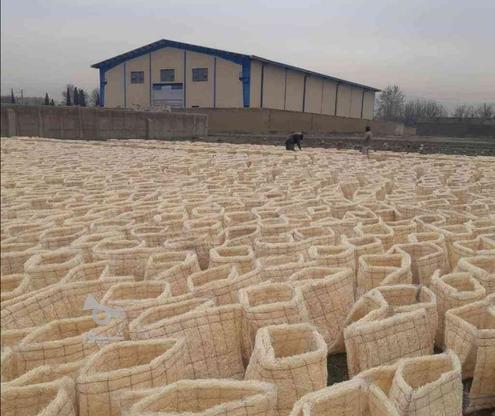 کارخانه پوشال کولر ابی مرغداری رول در گروه خرید و فروش خدمات و کسب و کار در آذربایجان شرقی در شیپور-عکس1