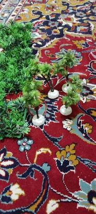 درختچه و چمن مصنوعی در گروه خرید و فروش ورزش فرهنگ فراغت در فارس در شیپور-عکس1
