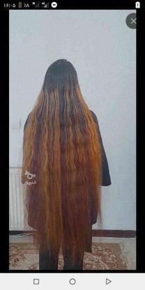 موی زیبا خریدارم در گروه خرید و فروش لوازم شخصی در اصفهان در شیپور-عکس1