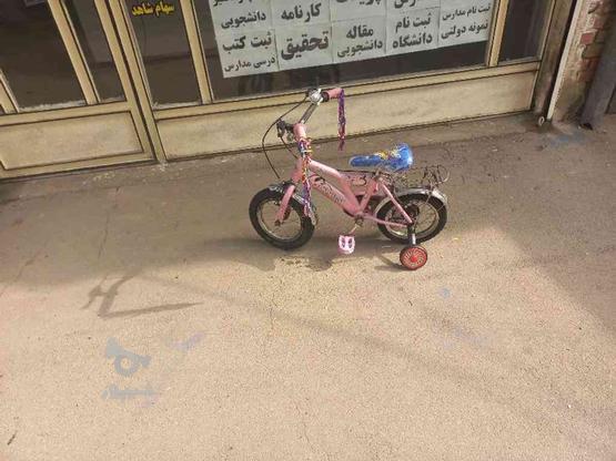 دوچرخه سایز12صورتی رنگ دخترانه صحیح وسالم در گروه خرید و فروش ورزش فرهنگ فراغت در آذربایجان غربی در شیپور-عکس1
