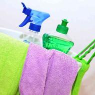 نظافت منزل و محل کار، ساختمان و مشاعات،شرکت خدماتی/رشت وحومه