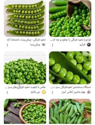 خریدار نخود فرنگی خشک در گروه خرید و فروش خدمات و کسب و کار در زنجان در شیپور-عکس1
