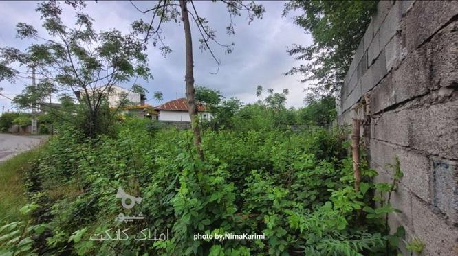 فروش زمین مسکونی 280 متر در رامسر+سند تک برگ در گروه خرید و فروش املاک در مازندران در شیپور-عکس1