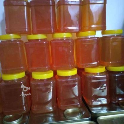 عسل درجه یک سیاهدانه در گروه خرید و فروش خدمات و کسب و کار در چهارمحال و بختیاری در شیپور-عکس1