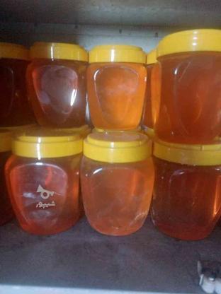 عسل طبیعی زنبور عسل در گروه خرید و فروش خدمات و کسب و کار در مرکزی در شیپور-عکس1