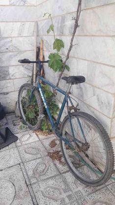 دوچرخه 26 دماوند در گروه خرید و فروش ورزش فرهنگ فراغت در زنجان در شیپور-عکس1