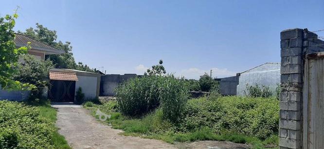 زمین مساحت 107 متر مربع بافت مسکونی اب برق گاز در گروه خرید و فروش املاک در مازندران در شیپور-عکس1