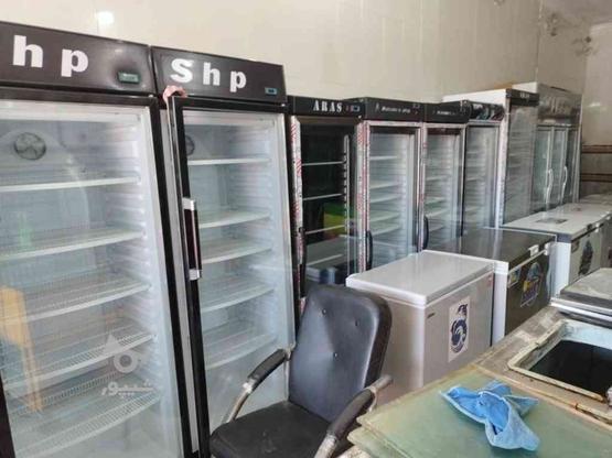 فروش اقساطی یخچال قصابی قنادی سوپرمارکتی در گروه خرید و فروش صنعتی، اداری و تجاری در مازندران در شیپور-عکس1